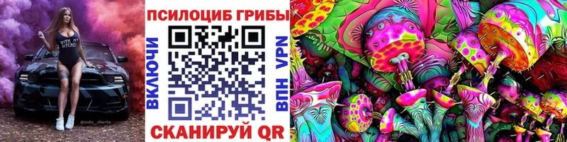 Галлюциногенные грибы Psilocybine cubensis  МЕГА ссылка  Десногорск 