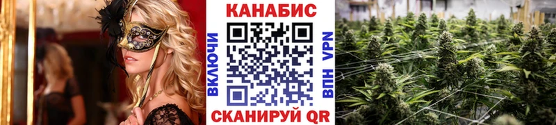 сайты даркнета Telegram  наркотики  Десногорск  Каннабис семена 